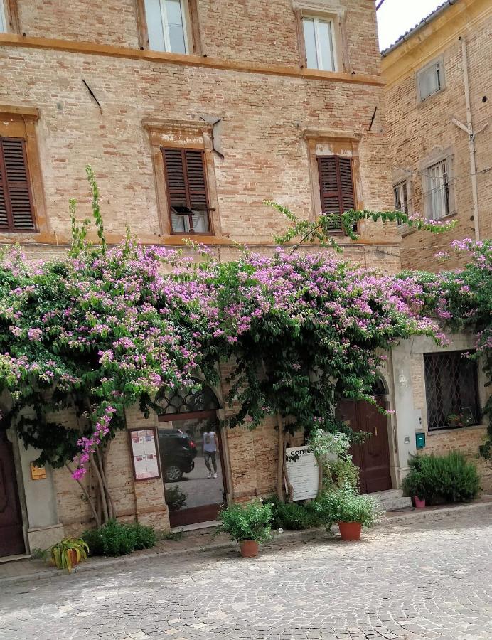 ATTICO SULLA BOUGANVILLE (Albergo diffuso) Corinaldo Exterior foto